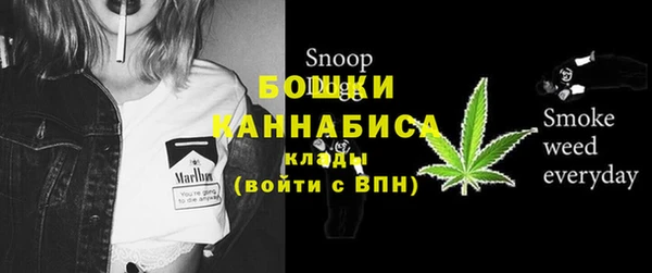 гидра Магас