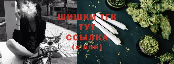 гидра Михайлов