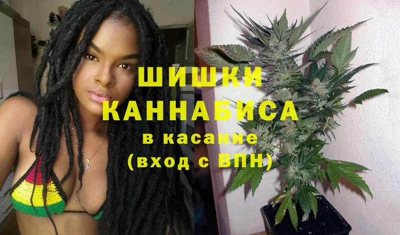 купить   Инза  Бошки марихуана SATIVA & INDICA 